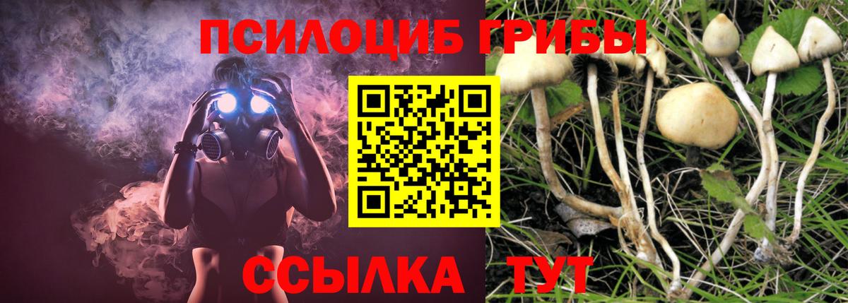Галлюциногенные грибы ЛСД Шахты