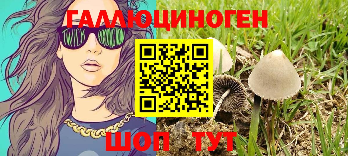 Шахты  Галлюциногенные грибы Magic Shrooms  Вход с VPN  Псилоцибиновые грибы Magic Shrooms 